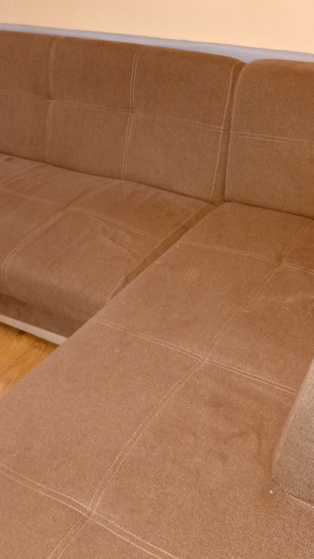 Before photo for Upholstery Cleaning