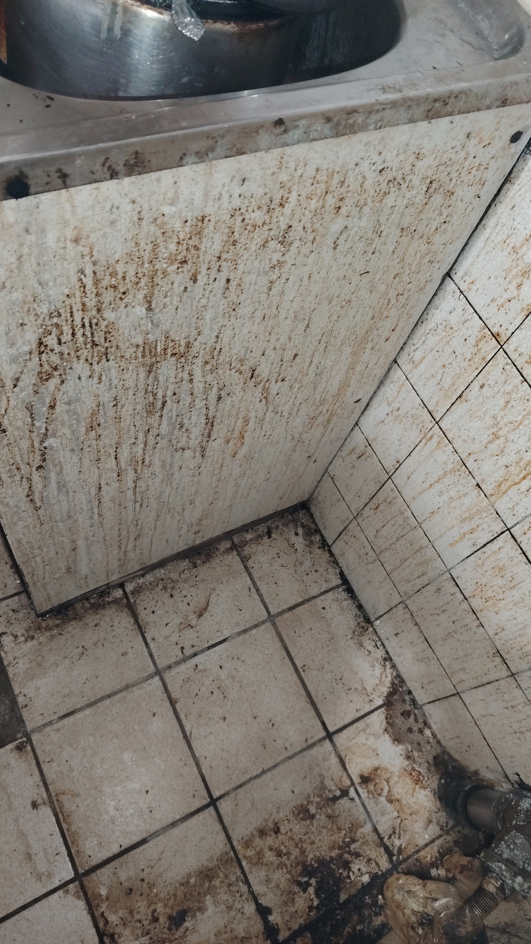 Before photo for Основно почистване