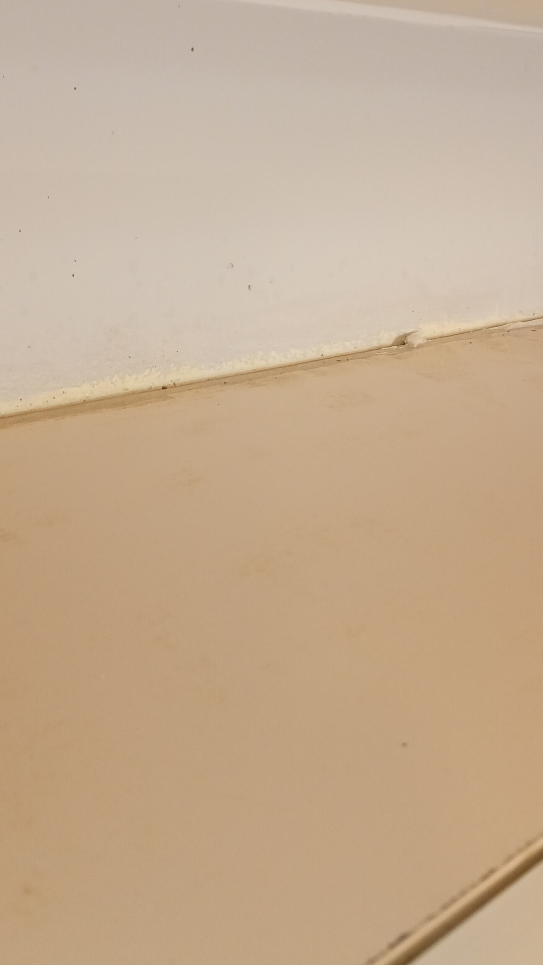 After photo for Deep Cleaning