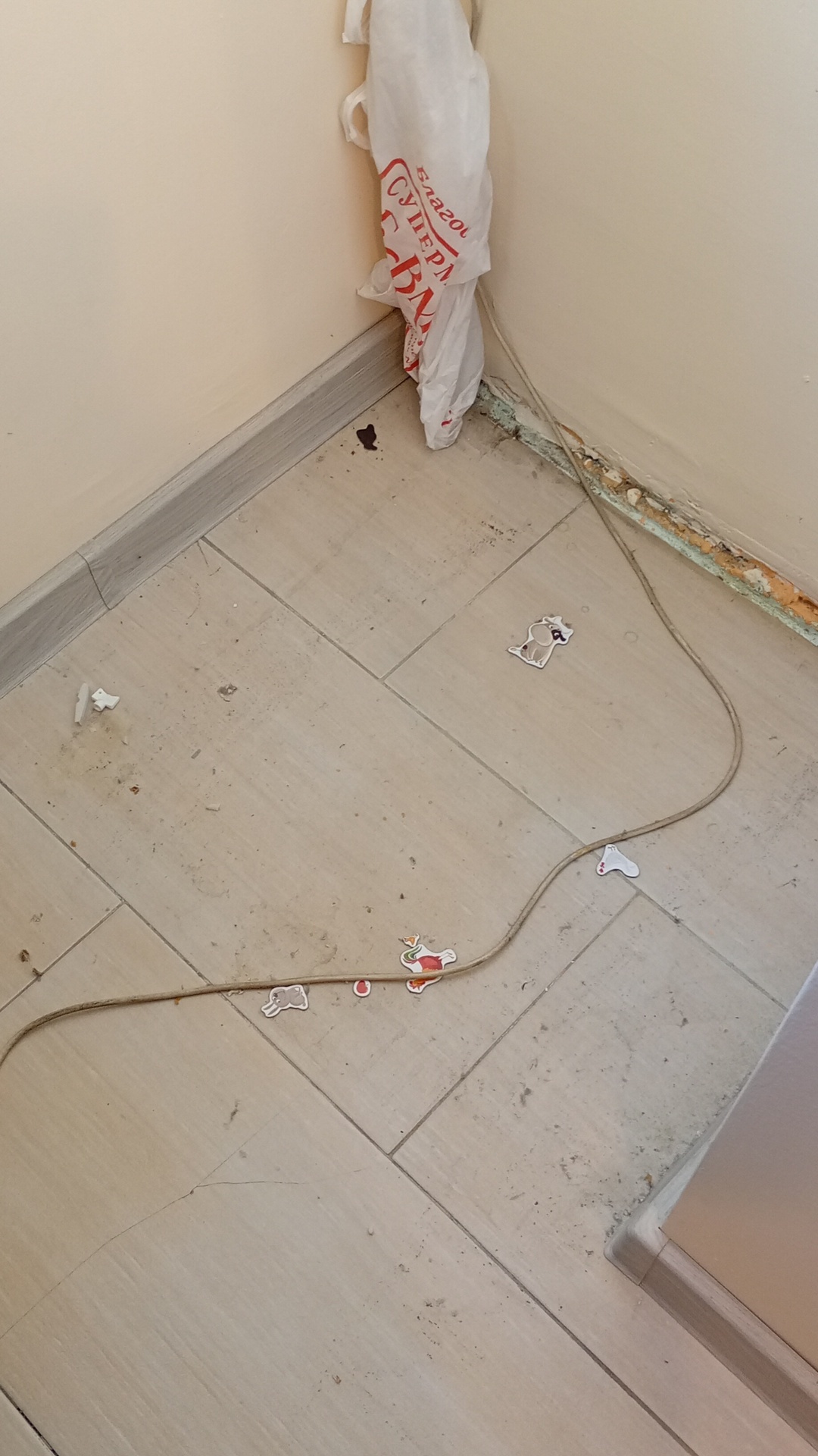 Before photo for Deep Cleaning