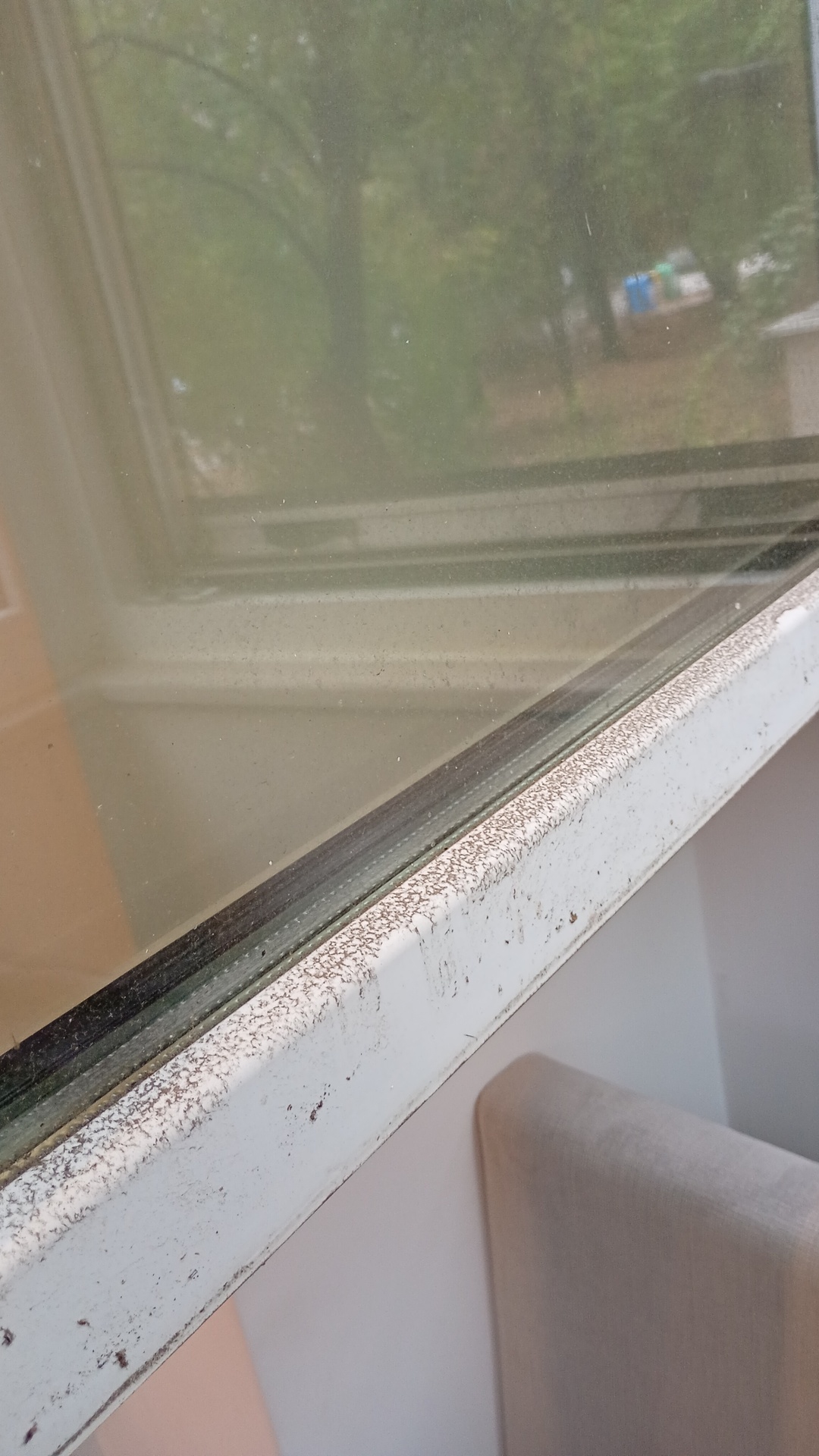 Before photo for Deep Cleaning