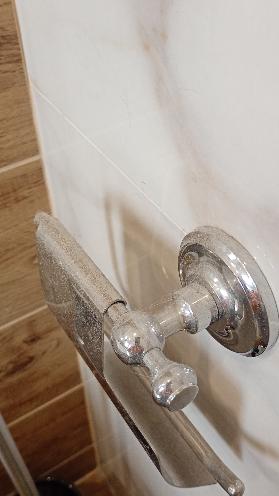 Before photo for Deep Cleaning