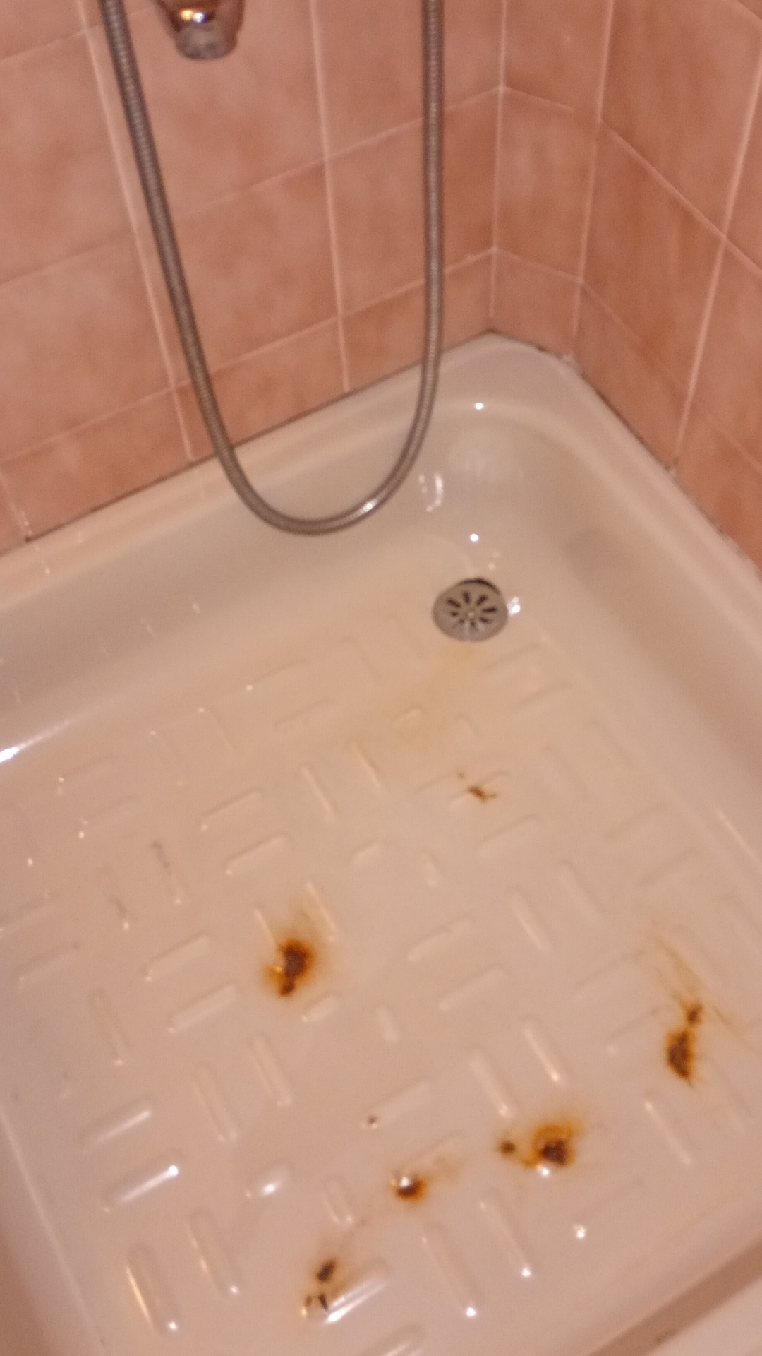 After photo for Deep Cleaning