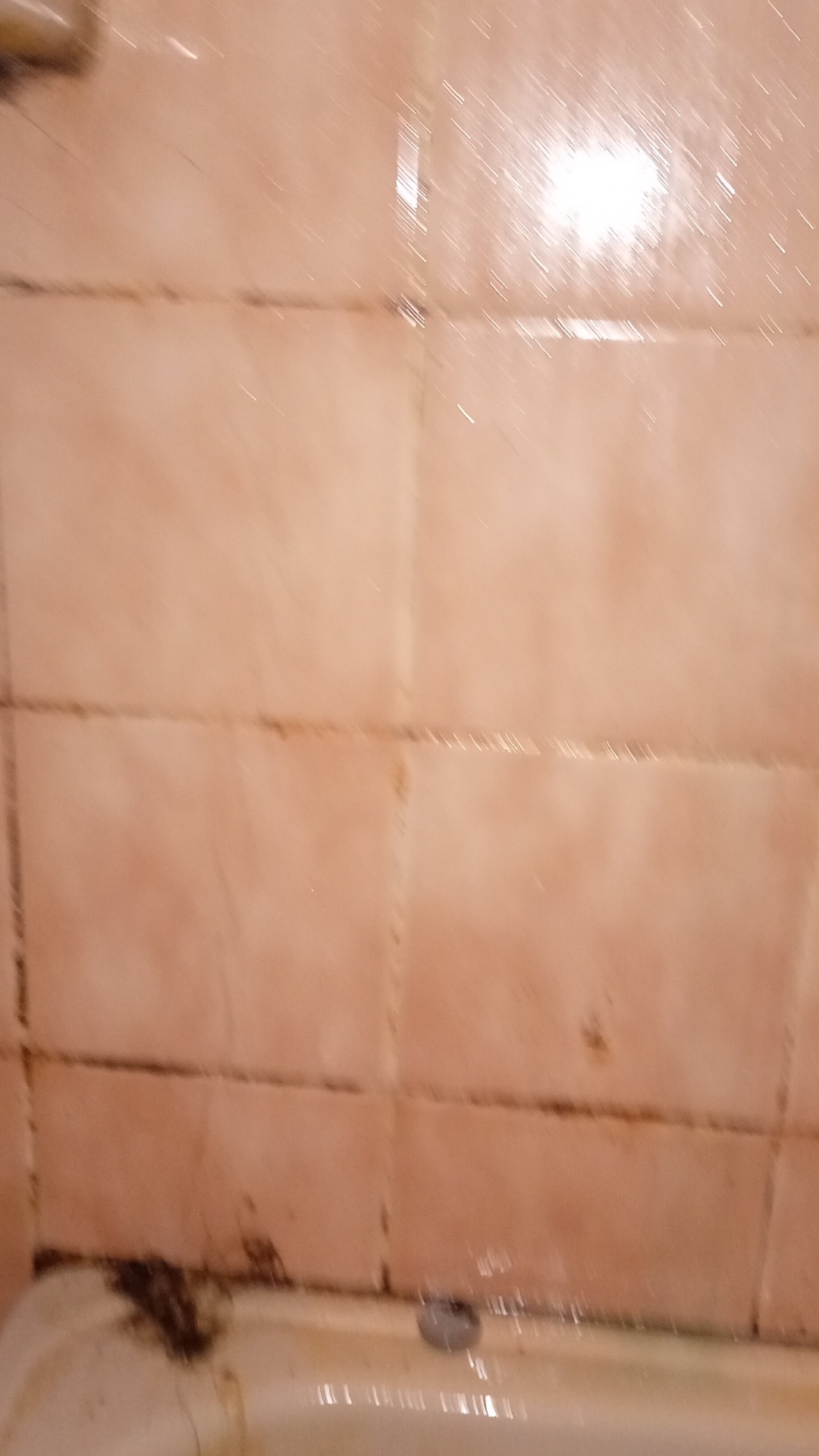 Before photo for Deep Cleaning