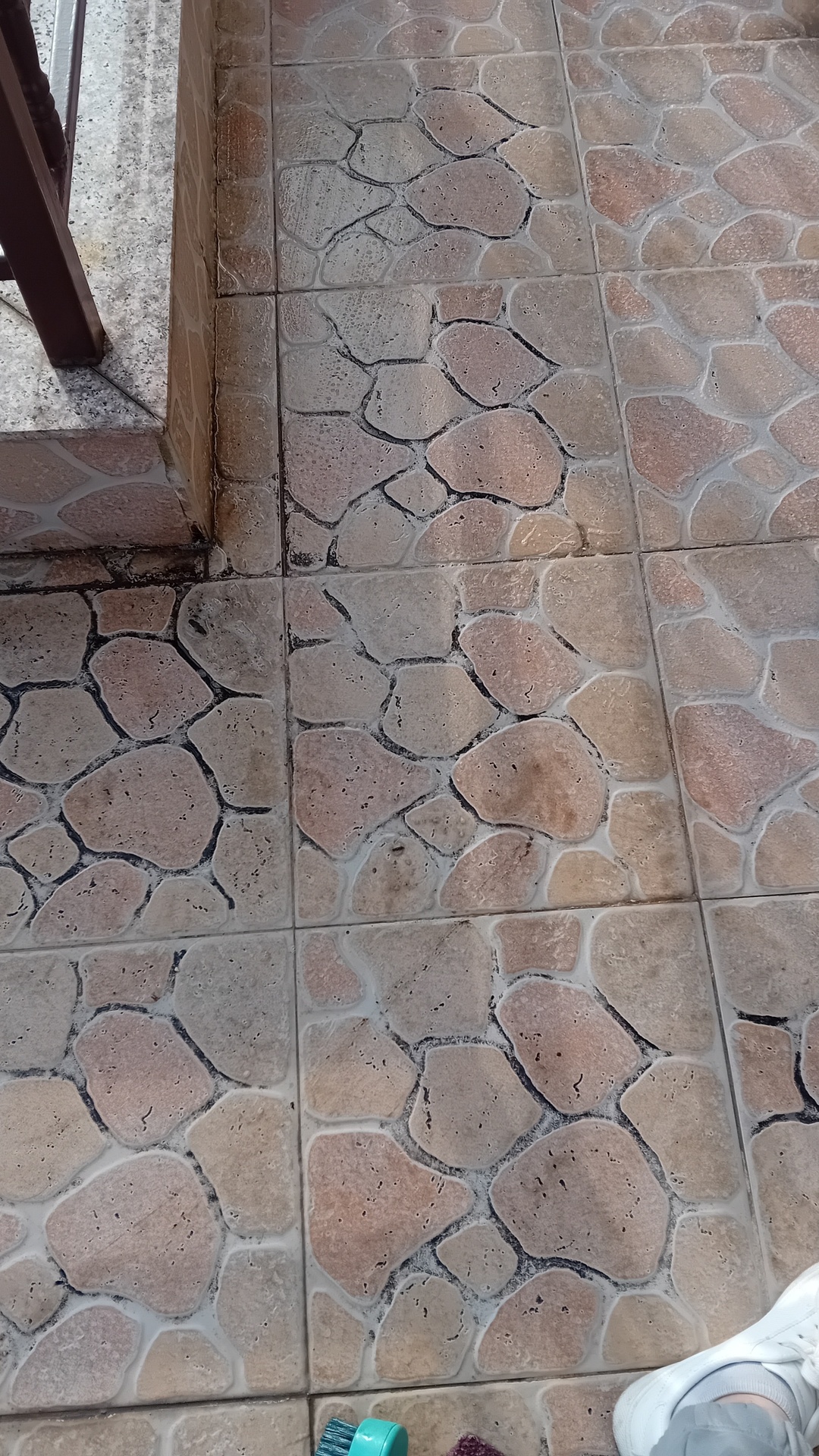 Before photo for Deep Cleaning